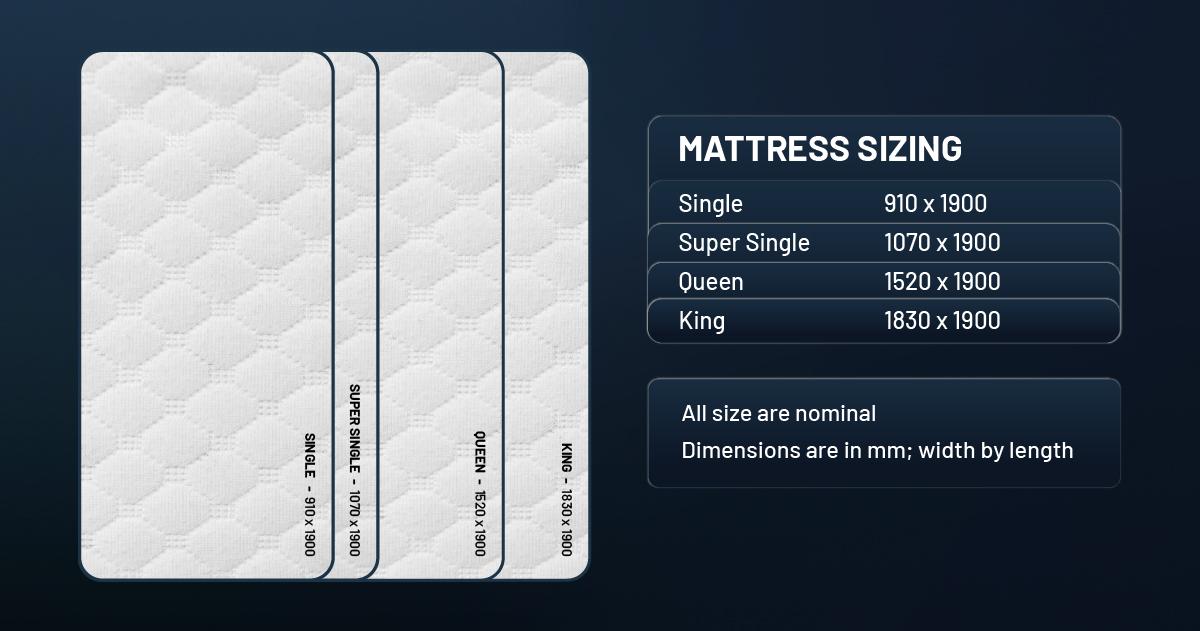 Sleep First Class™ with Sealy Posturepedic Elevate 6 In Every Size For Every One