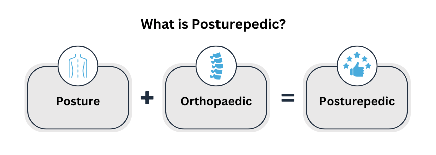 The Difference between Sealy and Sealy Posturepedic 7 What is Posturepedic